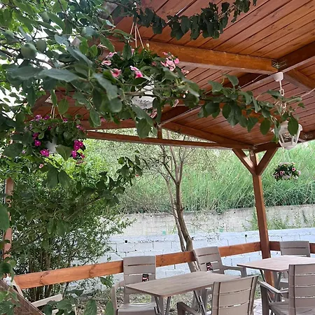 Magis Vlorë