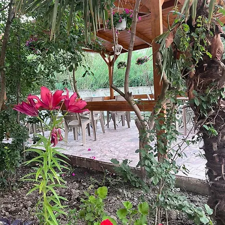 Magis Apartament Wlora